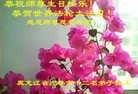 ���ֹ�,�����󷨵��ӹ������編�ִ�����ʦ�𻪵�(20��)