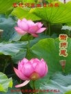 ���ֹ�,�����д󷨵��ӹ������編�ִ�����ʦ�𻪵�(20��)