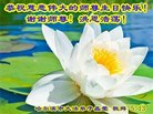 ���ֹ�,�������󷨵��ӹ������編�ִ�����ʦ�𻪵�(20��)