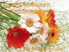 ���ֹ�,�������󷨵��ӹ������編�ִ�����ʦ�𻪵�(20��)