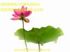 ���ֹ�,�������󷨵��ӹ������編�ִ�����ʦ�𻪵�(20��)