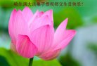 ���ֹ�,�������󷨵��ӹ������編�ִ�����ʦ�𻪵�(20��)