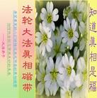 Published on 12/30/2003 ����Ŵ�����������ͼ��