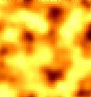 Published on 5/26/2002 �й�ʱ��������ѧ����⵽����֮�����⡹(ͼ)
