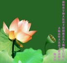 Published on 5/13/2010 ���ֹ�,��½�󷨵��Ӻ�ʦ�𻪵������編�ִ��գ��ģ���110�أ� - ���ִ������� - minghui.org