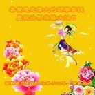 Published on 5/13/2010 ���ֹ�,��½�󷨵��Ӻ�ʦ�𻪵������編�ִ��գ�������150�أ� - ���ִ������� - minghui.org