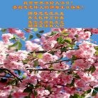 Published on 5/14/2010 ���ֹ�,��½�󷨵��Ӻ�ʦ�𻪵������編�ִ��գ�ʮ����260�أ� - ���ִ������� - minghui.org