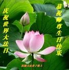 Published on 5/14/2010 ���ֹ�,��½�󷨵��Ӻ�ʦ�𻪵������編�ִ��գ�ʮ����270�أ� - ���ִ������� - minghui.org